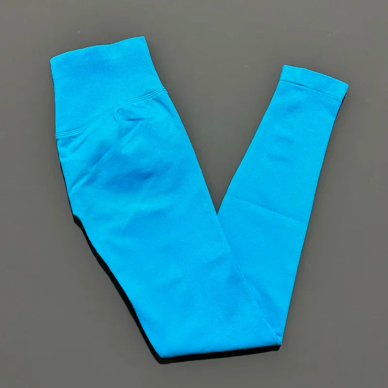 Legging sport femme sans coutures, coloris bleu glacier