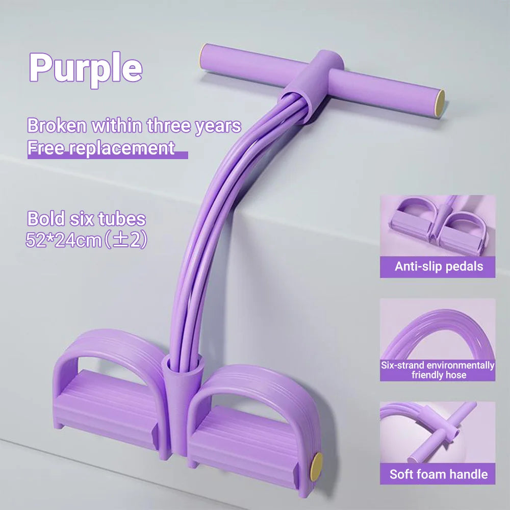 Bandes élastiques 6 tubes, coloris violet
